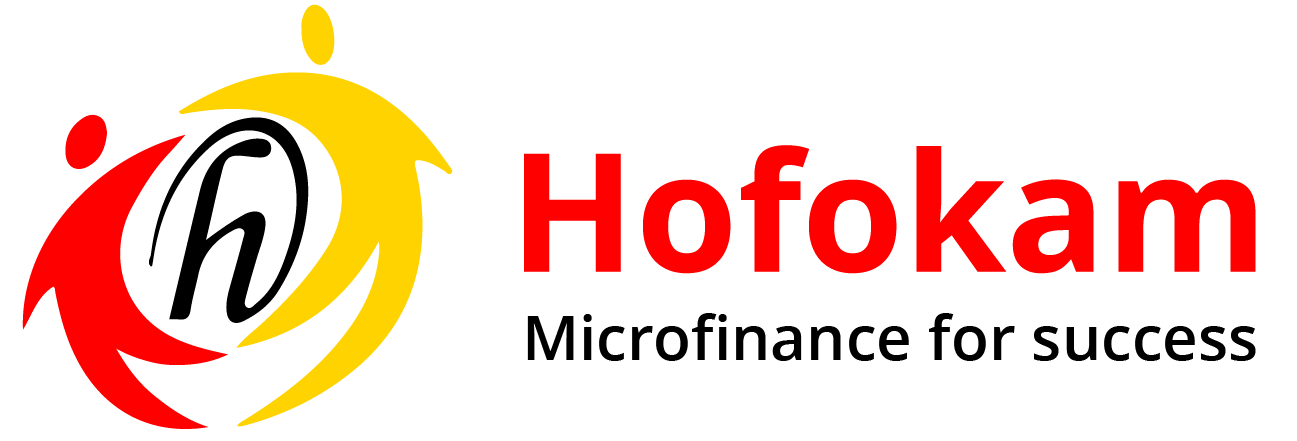 Hofokam — Microfinance for success